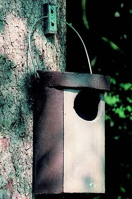 Schwegler Eulenhöhle Typ Nr. 5 ohne Marderschutz, Vogelhaus, Braun, Holzbeton, Witterungsbeständig, Atmungsaktiv, Waldkauz, Hohltaube, Dohle, 11 x 12 cm, 44 x 25 cm, 9.2 kg Schwegler Eulenhöhle Typ Nr. 5 ohne Marderschutz, Vogelhaus, Braun, Holzbeton, Witterungsbeständig, Atmungsaktiv, Waldkauz, Hohltaube, Dohle, 11 x 12 cm, 44 x 25 cm, 9.2 kg von Schwegler