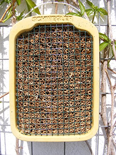 Schwegler Insektennistwand mit Naturschilf von Schwegler