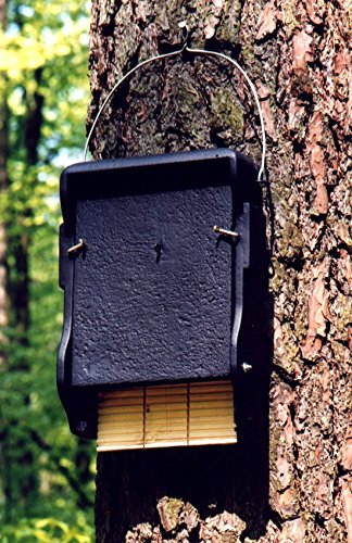 Schwegler Naturschutzprodukt Fledermaus Nistkasten Nisthöhle Fledermaushöhle 1FF mit eingearbeiteter Holzrückwand aus Holzbeton Höhe 43 cm Schwegler Naturschutzprodukt Fledermaus Nistkasten Nisthöhle Fledermaushöhle 1FF mit eingearbeiteter Holzrückwand aus Holzbeton Höhe 43 cm von Schwegler