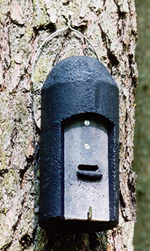 Schwegler Naturschutzprodukt Fledermaushöhle 1FD mit dreifacher Vorderwand Artenschutz Produkt Fledermäuse von Schwegler