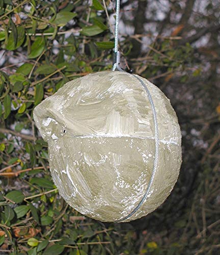 Schwegler Naturschutzprodukt Zaunkönig Meisen Nistkasten 2 Nisthöhlen Nisthilfe Zaunkönigkugel 1ZA Efeu Flugloch 30 x 27 mm aus Holzbeton Satz 2 Stück Schwegler Naturschutzprodukt Zaunkönig Meisen Nistkasten 2 Nisthöhlen Nisthilfe Zaunkönigkugel 1ZA Efeu Flugloch 30 x 27 mm aus Holzbeton Satz 2 Stück von Schwegler