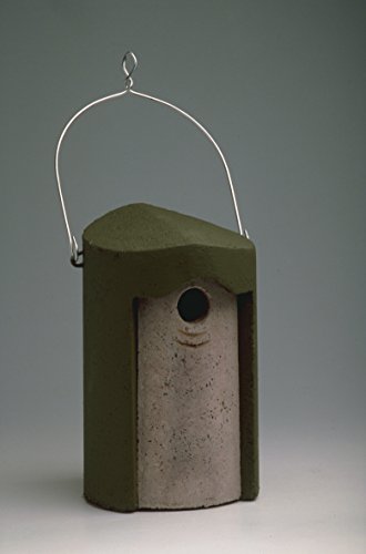 Schwegler Nisthöhle 1B grün oval 29 x 55 mm von Schwegler