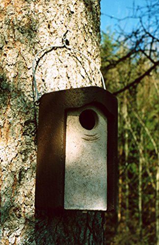 Schwegler Staren Nistkasten, Holzbeton, Grau, Schwalbe, Hängend, 4.5 cm, Vogelhaus von Schwegler