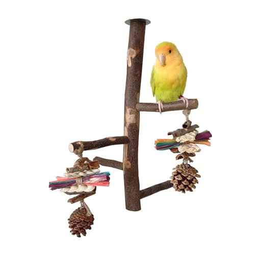 Verstellbarer Holz Vogelständer Kauspielzeug Für Vogelkomfort Und Unterhaltung Leicht Zu Reinigen Geeignet Für Vogelzüchter Papageienständer Spielzeug Vogelleiter Barschkäfig Naturständer von Scnvsi
