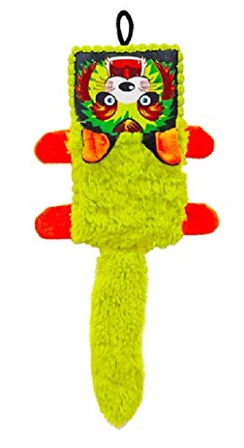 Scoochie Pet Products 477 Squeaker Box Dog Toy, 16", Green & Orange von Scoochie Pet Products