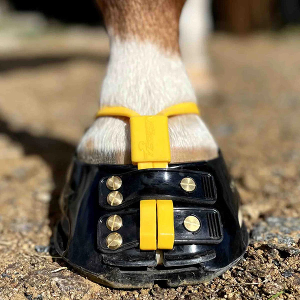Scootboot Mud Strap Marigold Gr. Xs Scootboot Mud Strap Marigold Gr. Xs von Scootboot
