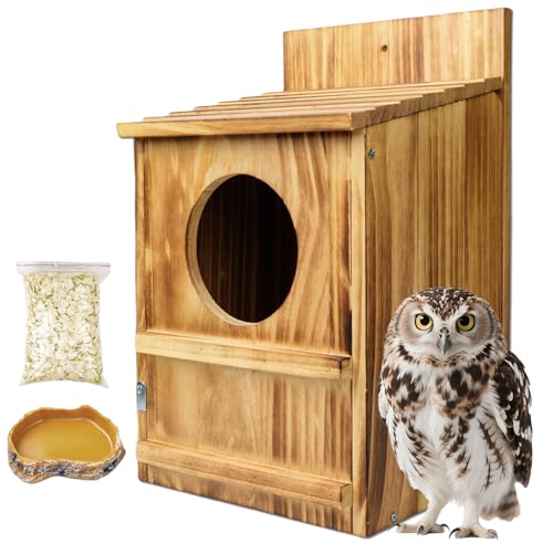 Handgefertigtes großes Kreischeule aus Holz - Outdoor Eule Vogelhaus mit kreisförmigem Eingang, Befestigungsschrauben und Holzspänen inklusive, einfache Montage Handgefertigtes großes Kreischeule aus Holz - Outdoor Eule Vogelhaus mit kreisförmigem Eingang, Befestigungsschrauben und Holzspänen inklusive, einfache Montage von Scopaven