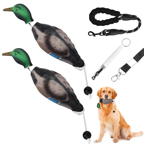 Scopaven Enten-Trainingsdummy mit Leine und Pfeife – langlebiger Retriever-Schnuller für Wasservögel, Jagdspielzeug und Stoßstangen für Hunde Scopaven Enten-Trainingsdummy mit Leine und Pfeife – langlebiger Retriever-Schnuller für Wasservögel, Jagdspielzeug und Stoßstangen für Hunde von Scopaven