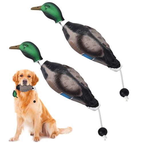 Scopaven Schwimmbare realistische Ente Schnuller für Hunde Retriever Training, Jagd Hund Erkennung Trainer, Wasservögel Training Dummy, Interaktives Schaumstoff Haustier Spielzeug, Ente Hundespielzeug Scopaven Schwimmbare realistische Ente Schnuller für Hunde Retriever Training, Jagd Hund Erkennung Trainer, Wasservögel Training Dummy, Interaktives Schaumstoff Haustier Spielzeug, Ente Hundespielzeug von Scopaven