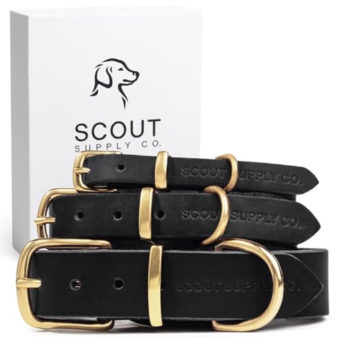 Klassisches Hundehalsband aus echtem Leder, Hundehalsband für mittelgroße Hunde, kleine Hunde, große Hunde und extra große Hunde, breites Hundehalsband, strapazierfähiges Halsband (Schwarz, S) von Scout Supply Co.