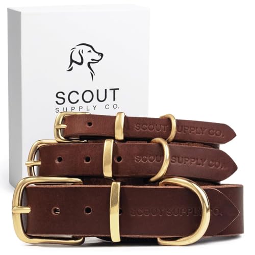 Klassisches Hundehalsband aus echtem Leder, Hundehalsband für mittelgroße Hunde, kleine Hunde, große Hunde und extra große Hunde, breites Hundehalsband, strapazierfähiges Halsband (Dunkelbraun, XXL) von Scout Supply Co.