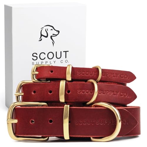 Scout Supply Klassisches Leder-Hundehalsband, strapazierfähiges, dickes Vollnarbenleder, wasserdicht und rostfreie Messingbeschläge, Rot, Größe XL Scout Supply Klassisches Leder-Hundehalsband, strapazierfähiges, dickes Vollnarbenleder, wasserdicht und rostfreie Messingbeschläge, Rot, Größe XL von Scout Supply Co.