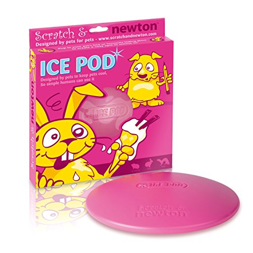 Scratch & Newton Ice Pod von Scratch & Newton