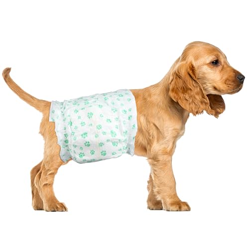 ScratchMe Disposable Male Dog Diaper, Super Absorbent and Leak-Proof Fit, Excitable Urination or Incontinence, 40 Count, Extra Large von ScratchMe