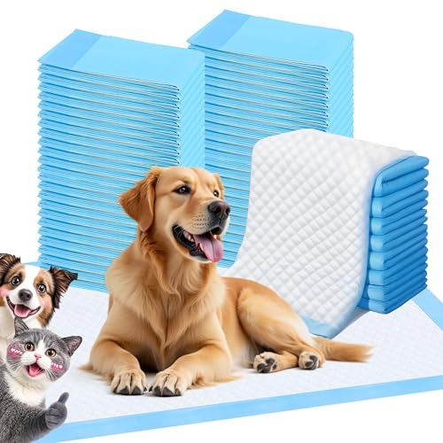 FluffyDream Trainingspads für Hunde und Welpen, 100-Stück 33X45cm Puppy Pads, Welpenunterlagen, Auslaufsicheres 5-Lagiges Design mit Schnell Trocknender Oberfläche, Extra Kleine Größe, Blau von FluffyDream