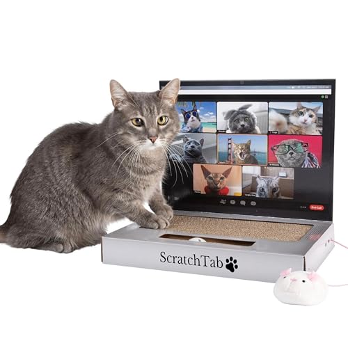 ScratchTab Katzen-Laptop zum Kratzen aus Pappe | Katzenspielzeug | mit Spielmaus | Interaktives Kratzspielzeug | Kratzbrett | Katzenbaum-Alternative | Katzen | Katze | hochwertig & langlebig von ScratchTab