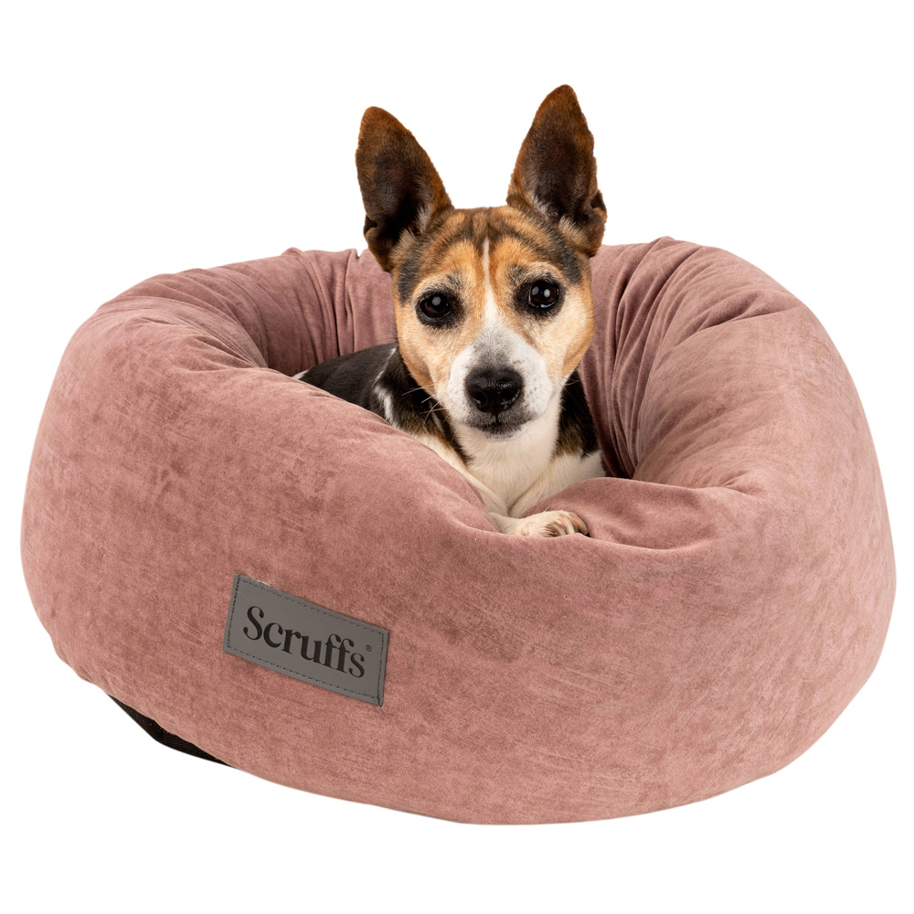 Scruffs Hundekissen Oslo Ring Bed blush pink, Gr. XXL, Außenmaße: ca. 83 cm von Scruffs