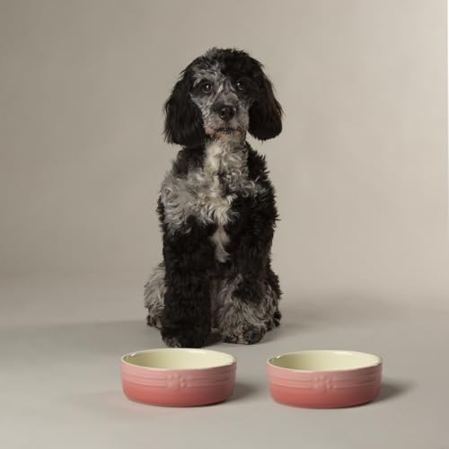 Scruffs Ombre 2-teiliges Keramik-Hundenapf-Set, Rosa, 15 cm Scruffs Ombre 2-teiliges Keramik-Hundenapf-Set, Rosa, 15 cm von Scruffs
