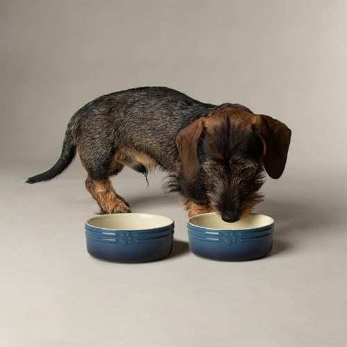 Scruffs Ombre 2-teiliges Keramik-Hundenapf-Set – Blau, 13 cm von Scruffs