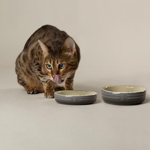Scruffs Ombre Cermaic Katzenfutter- und Trinknapf-Set, Grau, 2-teilig Scruffs Ombre Cermaic Katzenfutter- und Trinknapf-Set, Grau, 2-teilig von Scruffs