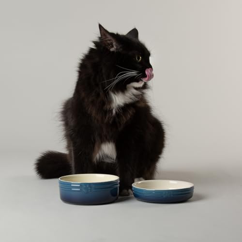 Scruffs Ombre Keramik-Napf-Set für Katzen – Blau, 2-teilig von Scruffs
