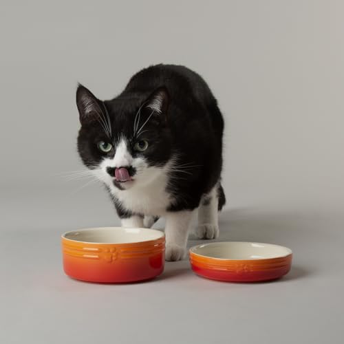 Scruffs Ombre Keramik-Napf-Set für Katzen – Orange, 2-teilig Scruffs Ombre Keramik-Napf-Set für Katzen – Orange, 2-teilig von Scruffs