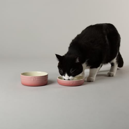 Scruffs Ombre Keramik-Napf-Set für Katzen – Rosa, 2-teilig Scruffs Ombre Keramik-Napf-Set für Katzen – Rosa, 2-teilig von Scruffs
