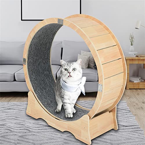Sdjazl Katzenlaufrad, Katzen-Trainingsrad Laufband mit Teppichboden Runway, Fitness Gewichtsverlustgerät Niedliche Katzenmöbel, Haustierspielzeug, Katzenspielzeug (groß) von Sdjazl