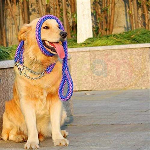 SeaNpem Heavy Duty Hund Leine Geflochten Halsband, verdrehsicher Pet Walking Training von SeaNpem