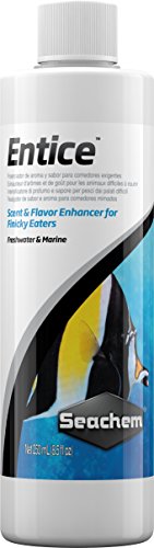 Seachem Entice: 250 ml Seachem Entice: 250 ml von Seachem