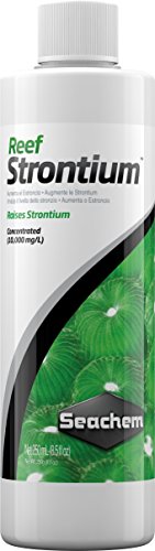 Seachem Pets-N-Us Reef Strontium, 250 ml von Seachem