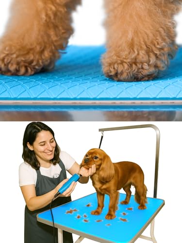 Seagull Mehrzweck Pflegematte für Haustiere 60×90 cm | Antirutschmatte für Hunde & Katzen, weich & rutschfest | Hundebadematte & Anti-Ermüdungsmatte für Pflege, Tierarzt & Salon, Hellblau Seagull Mehrzweck Pflegematte für Haustiere 60×90 cm | Antirutschmatte für Hunde & Katzen, weich & rutschfest | Hundebadematte & Anti-Ermüdungsmatte für Pflege, Tierarzt & Salon, Hellblau von Seagull