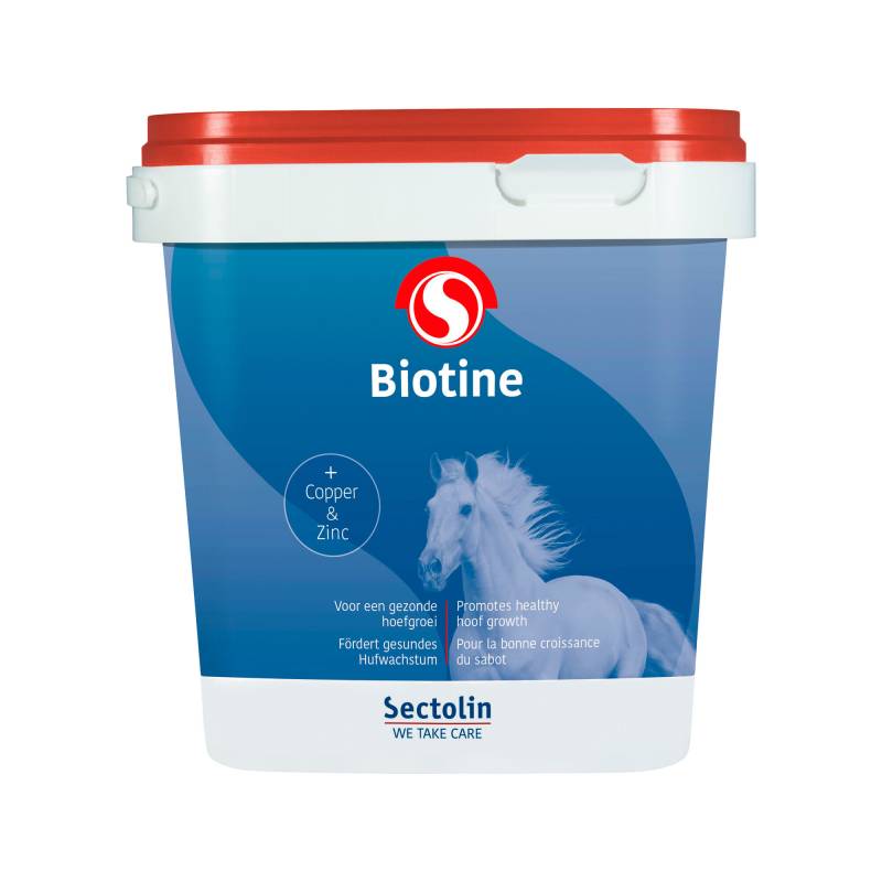 Sectolin Biotine - 1 kg von Sectolin