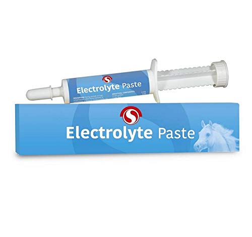 Sectolin Electrolyte Paste - Size OneSize von Sectolin