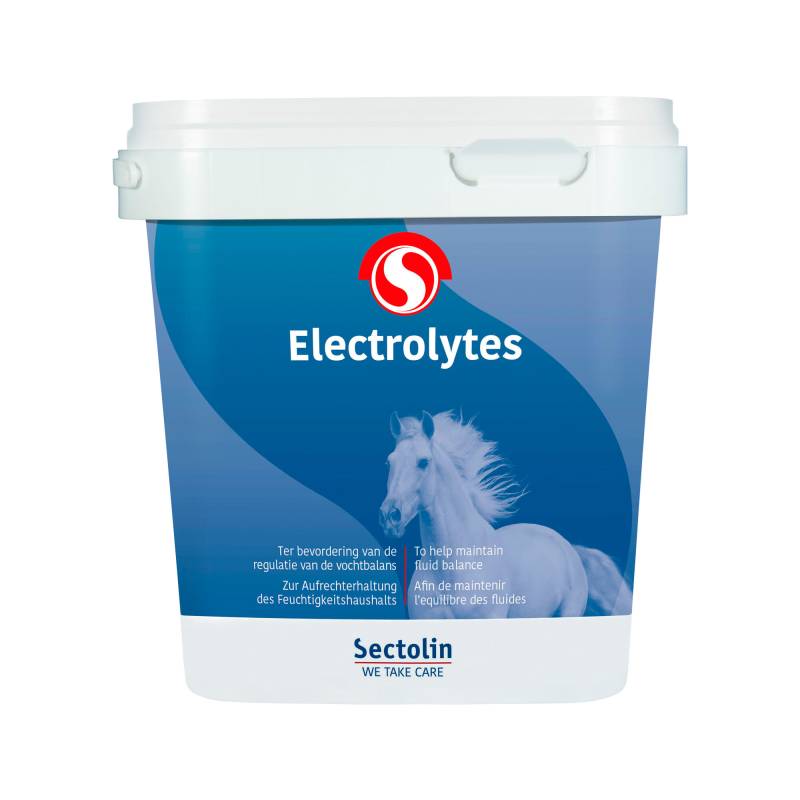 Sectolin Electrolyten - 1 kg von Sectolin
