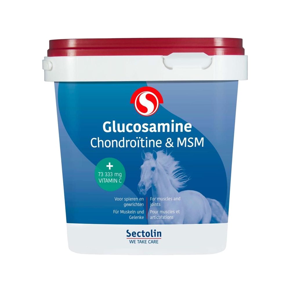 Sectolin Glucosamin, Chondroitin & MSM - 1 kg von Sectolin