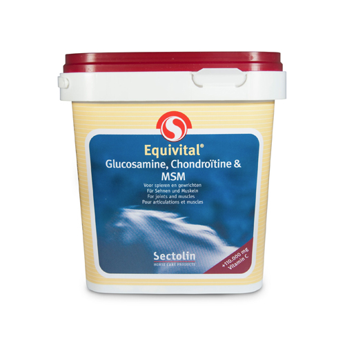 Sectolin Glucosamin, Chondroitin & MSM - 1 kg von Sectolin