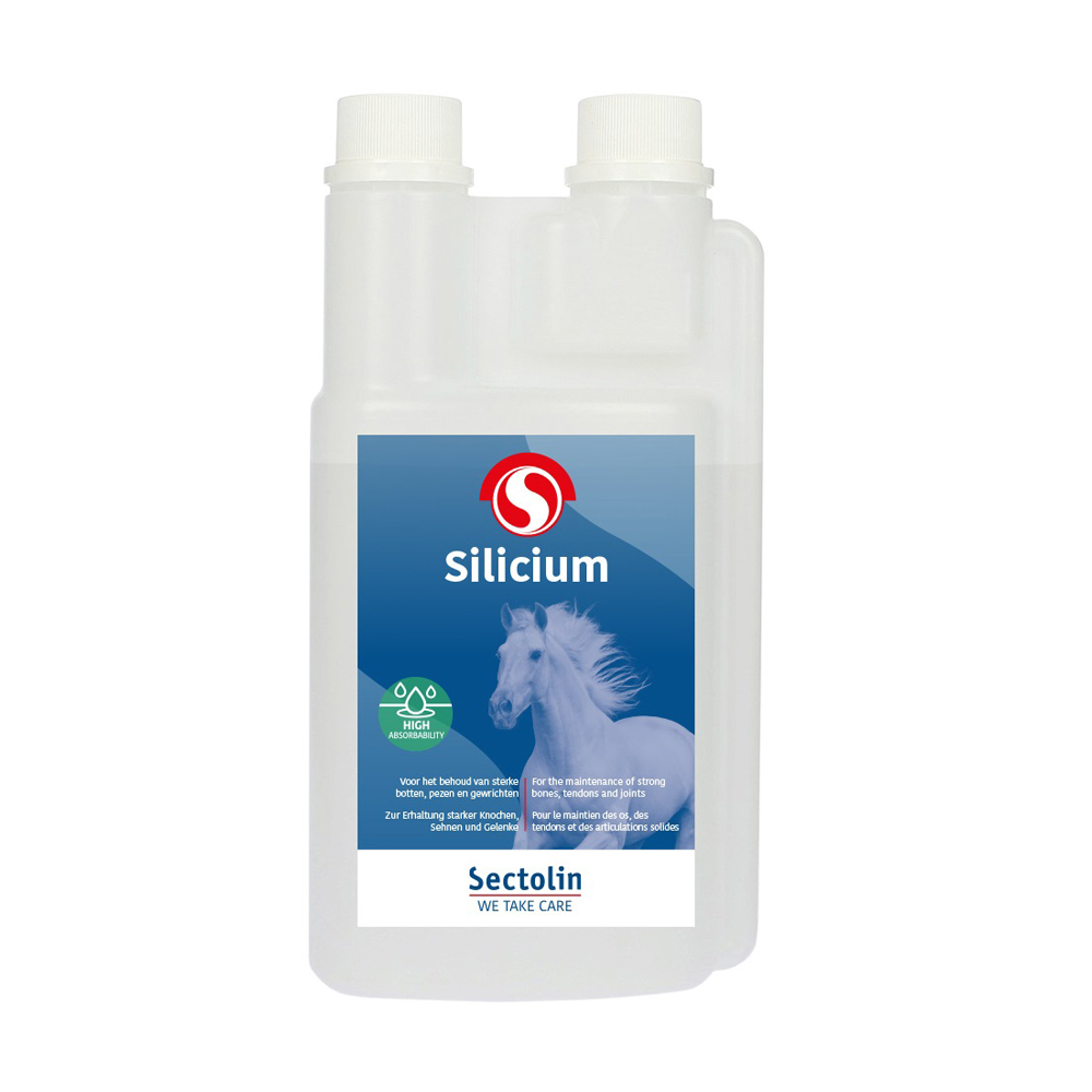 Sectolin Silicium - 1 l von Sectolin