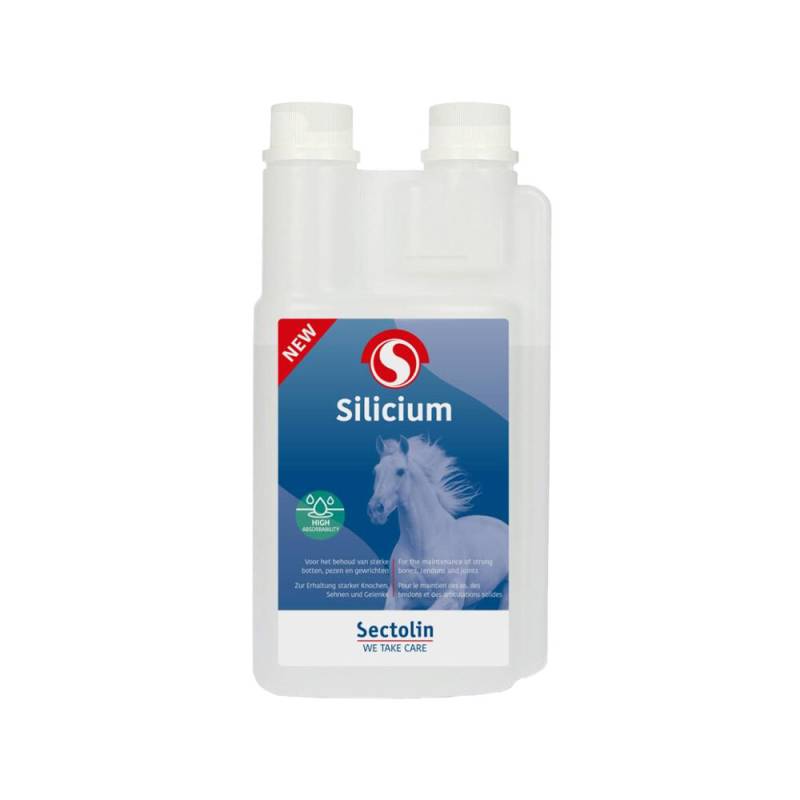 Sectolin Silicium - 1 l von Sectolin