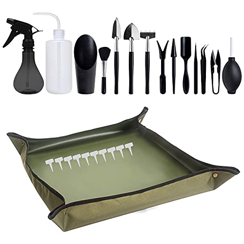 Secwell 25 Stück Mini Pflanzen Werkzeug Set Sukkulenten Pflanze Gartenwerkzeug Mit Wasserdicht Gartenmatte Faltbar Mini Garten Handwerkzeug Set für Sukkulenten Topfpflanze Secwell 25 Stück Mini Pflanzen Werkzeug Set Sukkulenten Pflanze Gartenwerkzeug Mit Wasserdicht Gartenmatte Faltbar Mini Garten Handwerkzeug Set für Sukkulenten Topfpflanze von Secwell