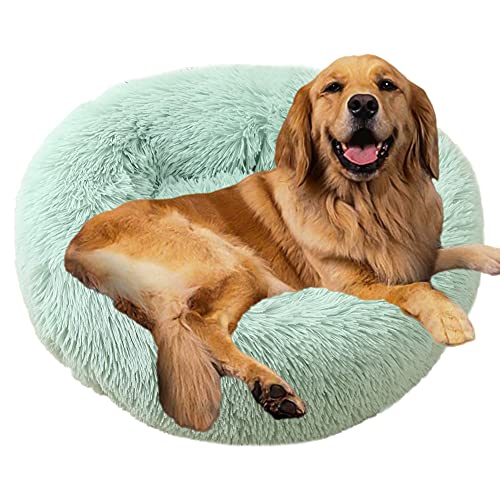 Sedefen Hundebett Rund Plüsch Flauschige Hundekissen Hundesofa Katzenbett,Waschbar rutschfest,Haustier Hundebett für Hunde und Katzen,Grün,Durchmesser 110cm Sedefen Hundebett Rund Plüsch Flauschige Hundekissen Hundesofa Katzenbett,Waschbar rutschfest,Haustier Hundebett für Hunde und Katzen,Grün,Durchmesser 110cm von Sedefen