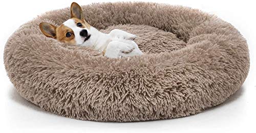 Sedefen Hundebett Rund Plüsch Flauschige Hundekissen Hundesofa Katzenbett,Waschbar rutschfest,Haustier Hundebett für Hunde und Katzen,Khaki,Durchmesser 40cm von Sedefen