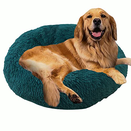 Sedefen Hundebett Rund Plüsch Flauschige Hundekissen Hundesofa Katzenbett,Waschbar rutschfest,Haustier Hundebett für Hunde und Katzen,Türkis,Durchmesser 60cm von Sedefen