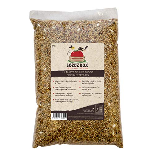 Seedzbox Wellensittichfutter Samen und Nussmischung – Natürliche, gesunde Leckerbissen und Snacks für Wellensittiche – Rote Hirse, Kanarien - und Nigersamen – 1kg von Seedzbox