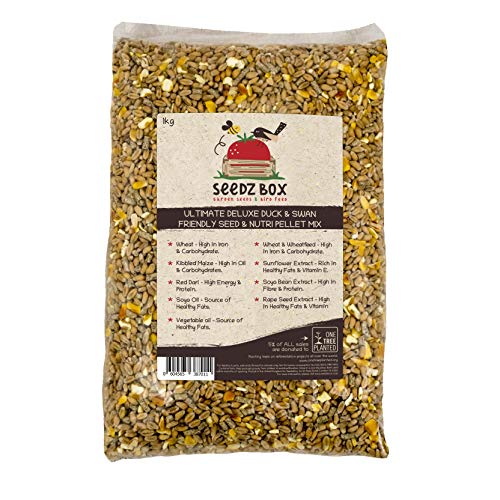 Ultimativer Luxus Ente, Gans und Schwan Samen & Nährstoff Vogelfutter, 1 kg Beutel, SeedzBox Duck & Swan Food Ultimativer Luxus Ente, Gans und Schwan Samen & Nährstoff Vogelfutter, 1 kg Beutel, SeedzBox Duck & Swan Food von Seedzbox
