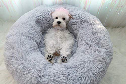 Deluxe Haustierbett für Hunde und Katzen,Cat Bett Für Katzen Und Kleine Donut-Nist-Höhlenbett für kleine, mittelgroße und große Hunde,Donut für Katzen,Welpen und kleine Hunde-grau-70*70*20cm Deluxe Haustierbett für Hunde und Katzen,Cat Bett Für Katzen Und Kleine Donut-Nist-Höhlenbett für kleine, mittelgroße und große Hunde,Donut für Katzen,Welpen und kleine Hunde-grau-70*70*20cm von Segle
