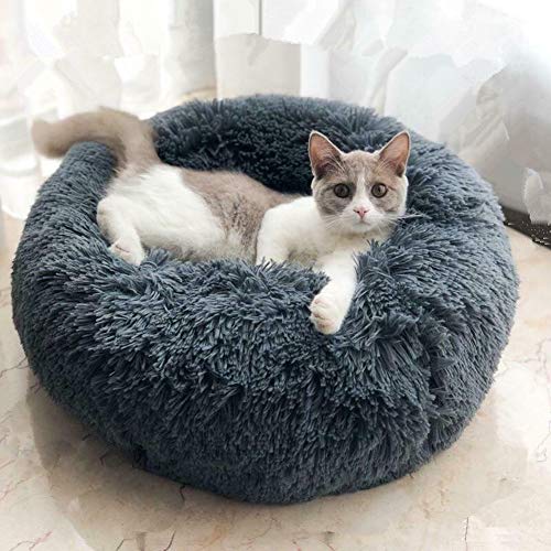 Hundebett,Katzenbett,Rutschfeste Unterseite,Runde Form,Weiches Donut-Haustierbett, luxuriöses Fell-Donut-Design,Verschiedene Größen,Flauschig, Weich,Hundekissen,Hundesofa-Dunkelgrau-80*80*20cm Hundebett,Katzenbett,Rutschfeste Unterseite,Runde Form,Weiches Donut-Haustierbett, luxuriöses Fell-Donut-Design,Verschiedene Größen,Flauschig, Weich,Hundekissen,Hundesofa-Dunkelgrau-80*80*20cm von Seepark