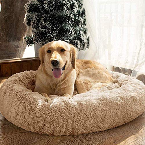 Segle Deluxe Rundes Haustierbett für Hunde und Katzen, weich, waschbar,Hundebett Gepolstert Katzenbett mit Kissen ideal für kleine bis mittlere Groß Hunde-80 * 80 * 18cm Segle Deluxe Rundes Haustierbett für Hunde und Katzen, weich, waschbar,Hundebett Gepolstert Katzenbett mit Kissen ideal für kleine bis mittlere Groß Hunde-80 * 80 * 18cm von Segle