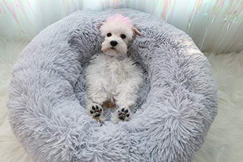 Segle Hundebett,Katzenbett,Rutschfeste Unterseite,Runde Form,Weiches Donut-Haustierbett, luxuriöses Fell-Donut-Design,Verschiedene Größen,Flauschig, Weich,Hundekissen,Hundesofa-grau-70 * 70 * 20cm Segle Hundebett,Katzenbett,Rutschfeste Unterseite,Runde Form,Weiches Donut-Haustierbett, luxuriöses Fell-Donut-Design,Verschiedene Größen,Flauschig, Weich,Hundekissen,Hundesofa-grau-70 * 70 * 20cm von Seepark