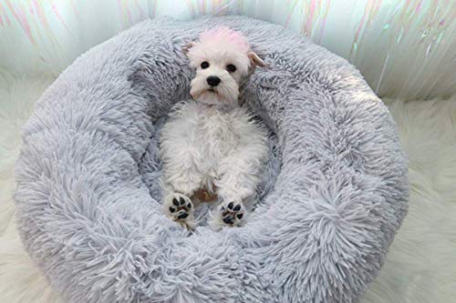 Segle Hundebett,Katzenbett,Rutschfeste Unterseite,Runde Form,Weiches Donut-Haustierbett, luxuriöses Fell-Donut-Design,Verschiedene Größen,Flauschig, Weich,Hundekissen,Hundesofa-grau-70 * 70 * 20cm von Segle